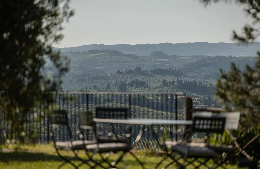 Agriturismo La Collina degli Olivi-1